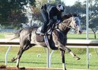 Liam's Map Stays On Target for BC Dirt Mile Liam's Map Stays On Target for BC Dirt Mile