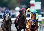 American Pharoah
<br><a target="blank" href="http://photos.bloodhorse.com/BreedersCup/2015-Breeders-Cup/Breeders-Cup-Classic/i-Tmr5wL6">Order This Photo</a>