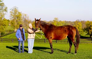 Leslie's Lady Named 2016 Broodmare of the Year