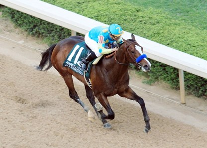 BODEMEISTERThe Arkansas Derby - Grade I - 76th RunningHot Springs, Arkansas4/14/2012Purse $1,000,0001-1/8 Miles 1:48.3Zayat Stables, LLC, OwnerBob Baffert, TrainerMike Smith, JockeySecret Circle (2nd)Sabercat (3rd)$6.80 $4.60 $3.60 Please Give Photo Credit To: Coady Photography / Will Kenser (Aerial)Coady Photography / Jeff Coady (Finish)Coady Photography / Corey Zamora (Inside Tight Coady Photography / Sunny Taylor (Inside)