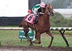 Touching Promise repeats in the Ballerina Stakes at Hastings.
