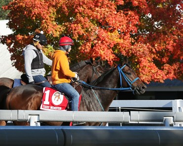 Mongolian Saturday - Morning Workout - Keeneland Race Course - 102015