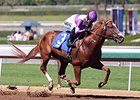 Jimmy Bouncer has won the first four races of his career.