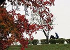 Keeneland Open for BC Training Oct. 29 Keeneland Open for BC Training Oct. 29