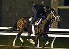Cigar Mile Marks Dirt Debut for Mshawish Cigar Mile Marks Dirt Debut for Mshawish