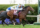 Hit it a Bomb winning the Breeders' Cup Juvenile Turf