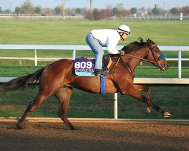 Dressed in Hermes - Morning Workout - Keeneland Race Course - 102315