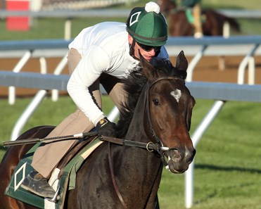 Harmonize - Morning Workout - Keeneland Race Course - 101915