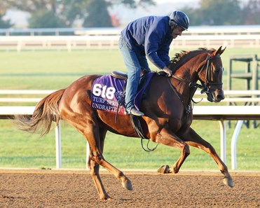 Undrafted - Morning Workout - Keeneland Race Course - 102315