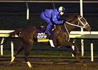 I'm a Chatterbox worked five furlongs in 1:00 2/5 at Keeneland on Oct 24.