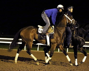 Dame Dorothy- Morning Workout - Keeneland Race Course - 102315
