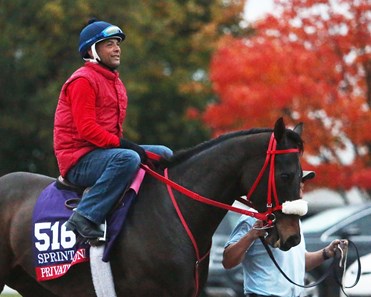 Private Zone - Morning Workout - Keeneland Race Course - 102415
Trainer: Jorge Navarro
Owner: Good Friends Stable, LLC
