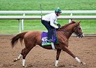 Lea breezed four furlongs in :47 2/5 under exercise rider Rodolphe Brisset on Oct. 26. <br><a target="blank" href="http://photos.bloodhorse.com/BreedersCup/2015-Breeders-Cup/Works/i-qWhKRDz">Order This Photo</a>