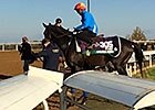 Breeders' Cup: Golden Horn Slow Motion Breeders' Cup: Golden Horn Slow Motion