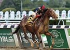 Tonalist Finds Comfort Zone in Longer Races Tonalist Finds Comfort Zone in Longer Races