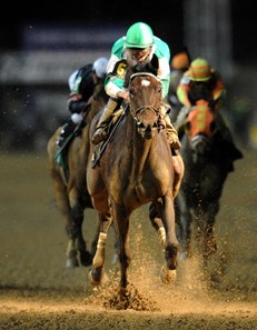 (November 4, 2011) Royal Delta, Jose Lezcano up, wins the Breeders Cup Ladies Classic at Churchill Downs...
© 2011 Rick Samuels/The Blood-Horse