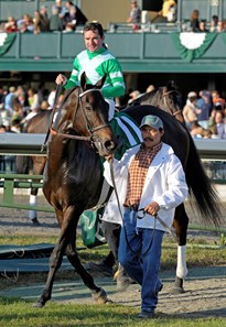 Caption: Mushka with Kent Desormeaux up, far left #11 green, declared winner of the Juddmonte Spinsters Stakes (gr. I) after disqualification of #4 Proviso, Center pink cap.
Keeneland racing at Keeneland in Lexington, Ky. on Oct. 10, 2009.
KeeSun1 image638
Photo by Anne M. Eberhardt