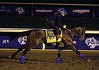 American Pharoah went to the main track on Oct. 30.