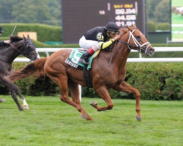 Artest wins the Quick Call Stakes at Saratoga on July 26, 2012.