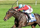 Harmonize and Junior Alvarado take the JPMorgan Chase Jessamine Stakes.<br><a target="blank" href="http://photos.bloodhorse.com/AtTheRaces-1/At-the-Races-2015/i-2ZTxVzd">Order This Photo</a>