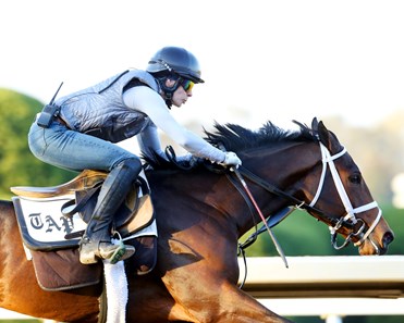 Rachels Valentina - Morning Workout - Keeneland Race Course - 102315