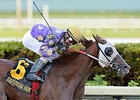 Casse Adds Brei Horses to His Stable Casse Adds Brei Horses to His Stable