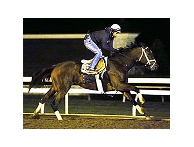 Dame Dorothy worked four furlongs in :49, galloped out five furlongs in 1:01 2/5 and six furlongs in 1:14 1/5.