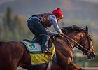American Pharoah worked six furlongs in 1:10 4/5 Tuesday morning, Oct. 20, at Santa Anita Park.