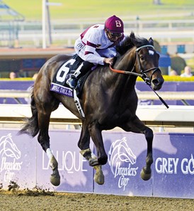 Royal Delta wins the Breeders' Cup Ladies' Classic (gr. 1)
Jockey: Mike Smith
SANTA ANITA PARK, Arcadia, CA
Purse: $2,000,000
Date: November 2, 2012
Class: Grade I
TV: NBC Sports Network
Age: 3YO&UP
Race: 9
Distance: 1 1/8 miles
Post Time: 4:30 PM PDT