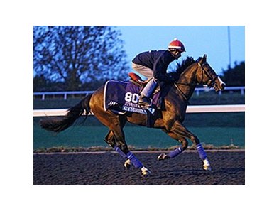 Cymric was foaled and raised at Mill Ridge Farm.