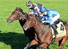 Her Emmynency (inside) takes the Queen Elizabeth II Challenge Cup over Miss Temple City.<br><a target="blank" href="http://photos.bloodhorse.com/AtTheRaces-1/At-the-Races-2015/i-rMxhMjq">Order This Photo</a>