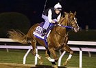 Asmussen Tunes Up BC Horses in Final Works Asmussen Tunes Up BC Horses in Final Works