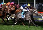 Chautauqua comes home strong to win the Manikato Stakes.