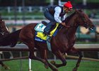 American Pharoah works at Santa Anita Oct. 14.
