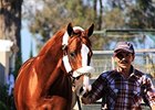California Chrome will return to racing Jan. 9.