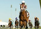 Conquest Enforcer leaves the competition behind in the Cup and Saucer Saucer Stakes.