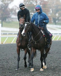 Lava Man - Ralis - Morning Training - Keeneland Race Course - 102715
