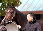 Songbird Ready to Score in Juvenile Fillies Songbird Ready to Score in Juvenile Fillies
