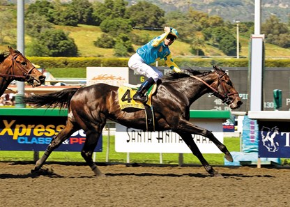 Pioneerof the Nile and Garrett Gomez win the Grade I $750,000 Santa Anita Derby Saturday, April 4, 2009 at Santa Anita Park.