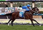 Filly Winx Smashes Course Record in Cox Plate Filly Winx Smashes Course Record in Cox Plate