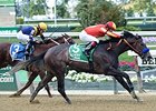 Pretty N Cool wins the Matron Stakes.
<br><a target="blank" href="http://photos.bloodhorse.com/AtTheRaces-1/At-the-Races-2015/i-v6cHhTH">Order This Photo</a>