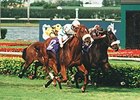 Soaring's descendants include 1999 champion turf female Soaring Softly.