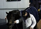 Multiple group I winner Golden Horn arrived at Keeneland Oct. 24