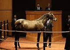 Hip 1363 by Tapit was the session 4 topper.