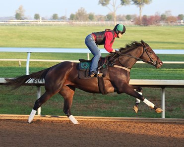 Frivolous - Morning Workout - Keeneland Race Course - 102315