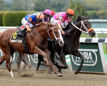 Vegas No Show hits the jackpot in the Coastal Stakes at Belmont Park on October 9, 2013.