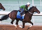 Defending Breeders' Cup Distaff (gr. I) winner Untapable breezed five furlongs in 1:01 1/5 Oct. 18 at Keeneland.