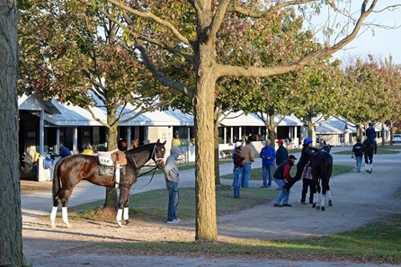 Caption: Todd Pletcher barn scene, as riders get legs up for the next set.
Morning scenes at Keeneland for Breeders' Cup on Oct. 22, 2015.