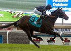 Curvy Hits Pay Dirt in E.P. Taylor Stakes Curvy Hits Pay Dirt in E.P. Taylor Stakes