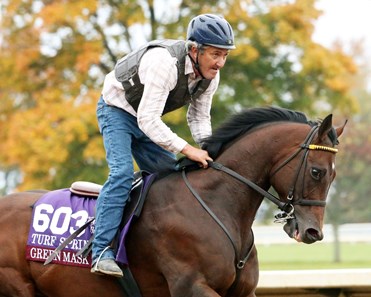 Green Mask - Morning Training - Keeneland Race Course - 102415